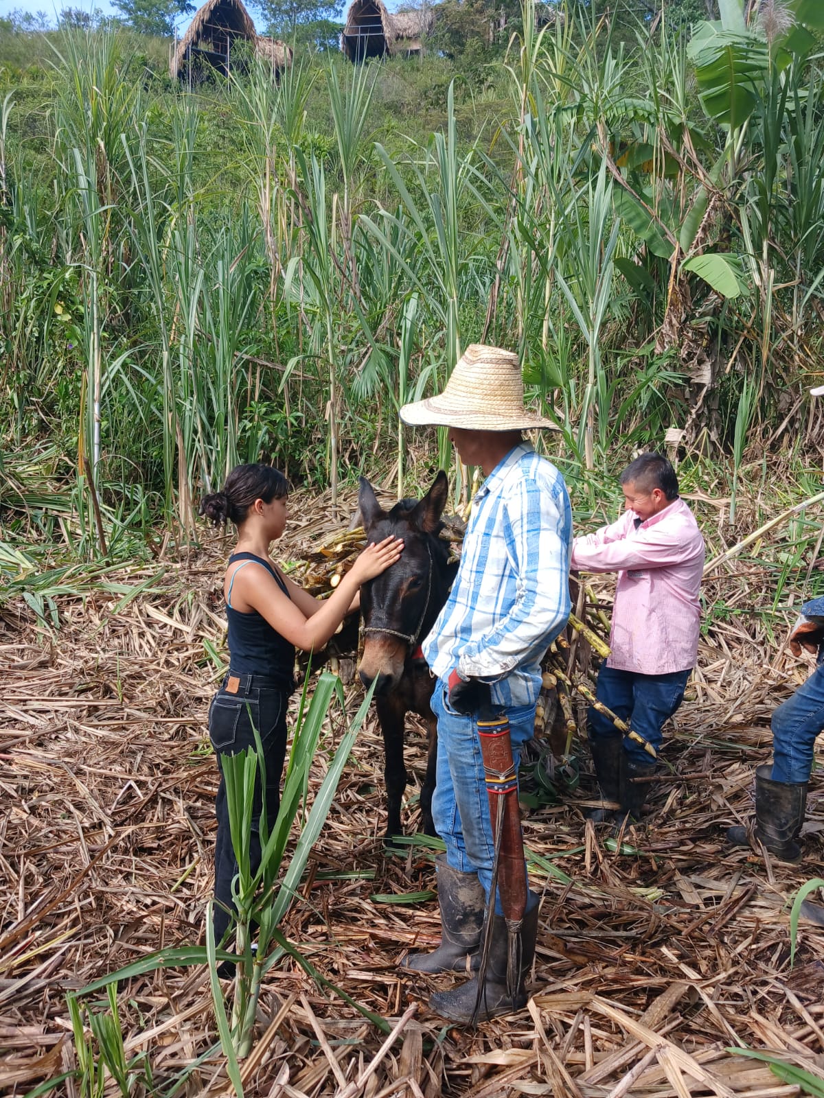 Posada Trapiche Los Abuelos