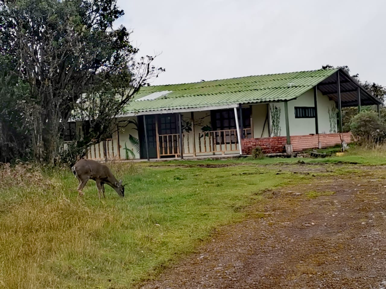 Posada Ecopalacio Chingaza